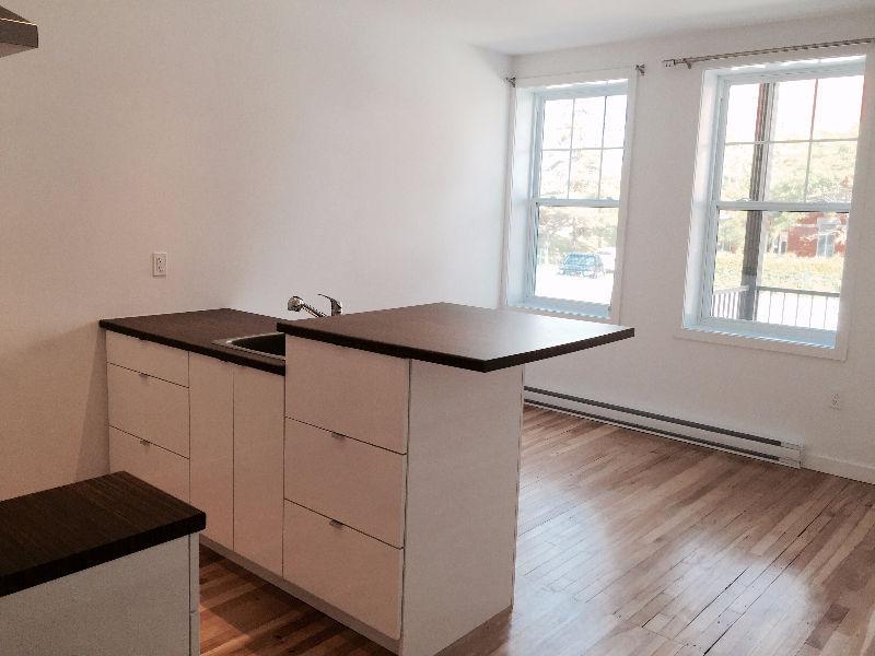 3½ Loft centre-ville de