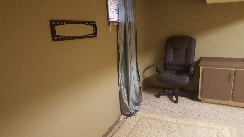 1 Bedroom Basement suite available immediately