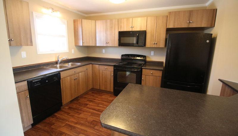New 3BR Rental | 6 Appliances | Air Cond. | Never Lived In!