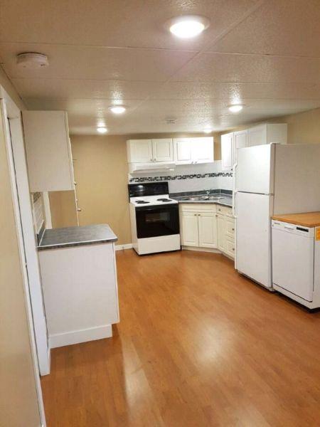 Newly Renovated 2 Bedroom Basement Suite