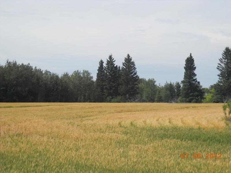 Land for sale near Melfort 26 Acres