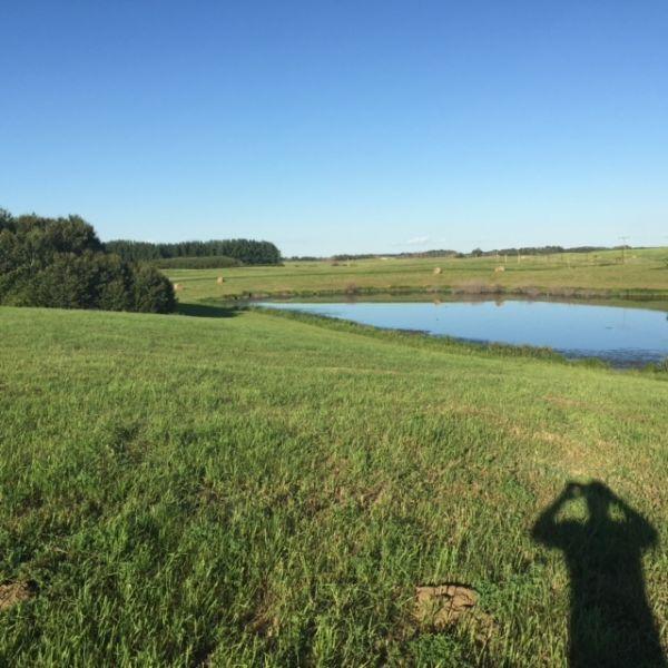 80 acres ready to sub divide 5 km east of city on hyw 302