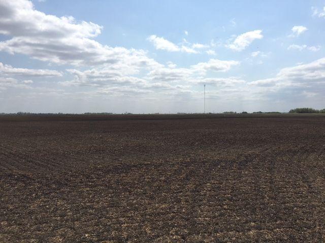 Two 1/4's of Highly Productive Farmland Near Buchanan SK