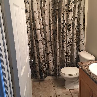 Room available ASAP in willowgrove