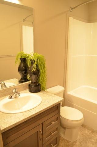Roommate wanted: own bathroom! WILLOW GROVE