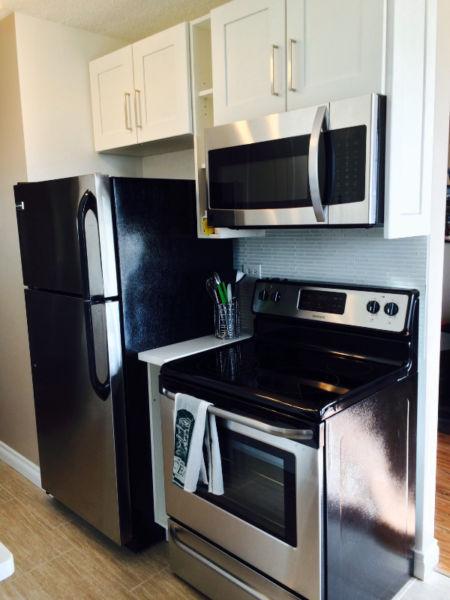 JAN 1/17 FURNISHED/SPACIOUS/BRIGHT DOWNTOWN CONDO! U.G. PARKING