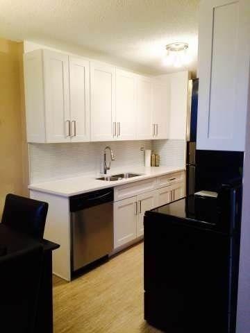 JAN 1/17 FURNISHED/SPACIOUS/BRIGHT DOWNTOWN CONDO! U.G. PARKING