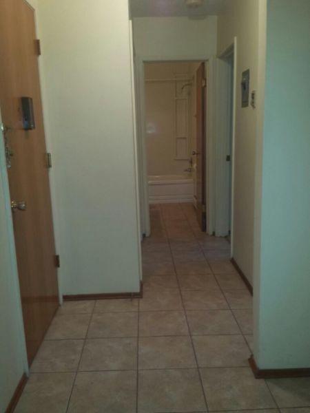 Large one bedroom near Kingsway Mall/NAIT Campus