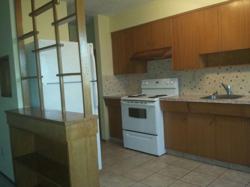 Large one bedroom near Kingsway Mall/NAIT Campus