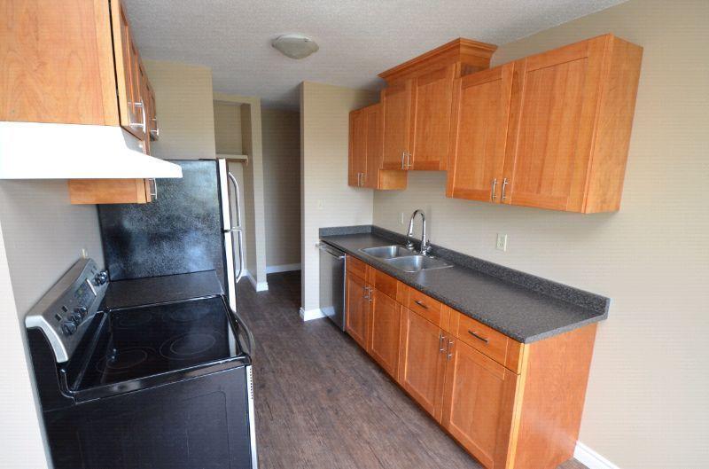 XLarge Renovated 1-bed Suite - Avail Oct 1st - 144th Ave