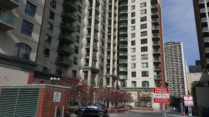 Downtown 2bedroom Steps to C-train Rent Immed!