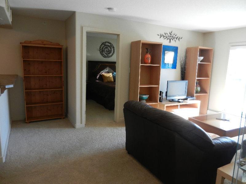 RENTAL INCENTIVE!! FURNISHED 2 BED/2 BTH TOP FLR CONDO IN SW ED