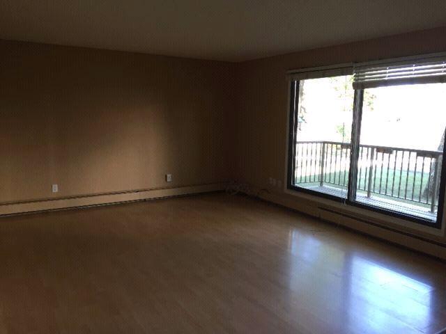 September Free ! 2 Bedroom with Onsite GYM in century park @995