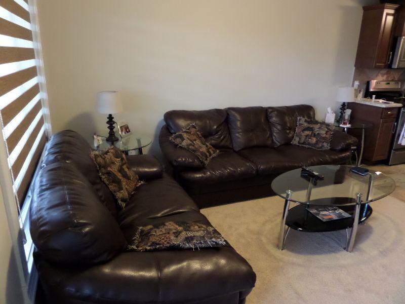 2 BR Furnished Suite Incl Utilities in Timberlea - Avail. Oct 1