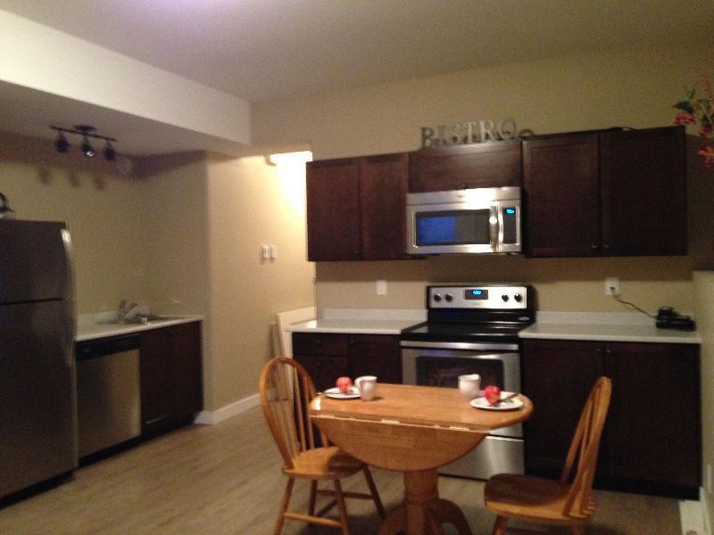 Beautiful bright walk out basement suite for rent!