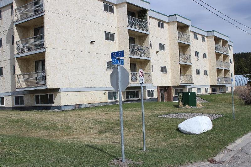 TWO BEDROOM CONDO IN COLEMAN, CROWSNEST PASS