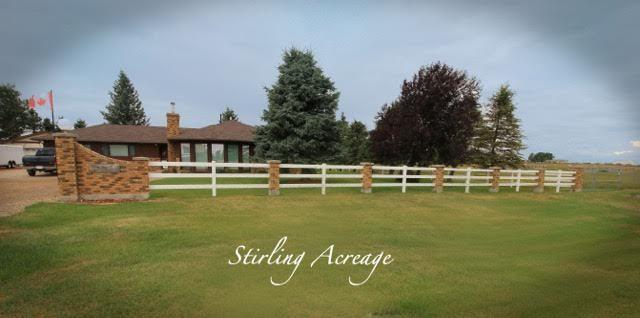 Stirling Acreage/ Horse Retreat