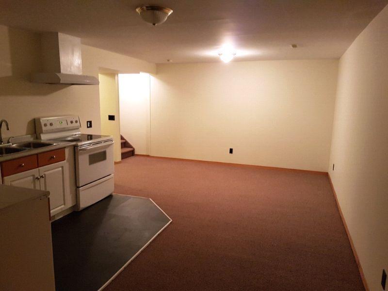 2 bedrooms clean and beautiful basement for rent