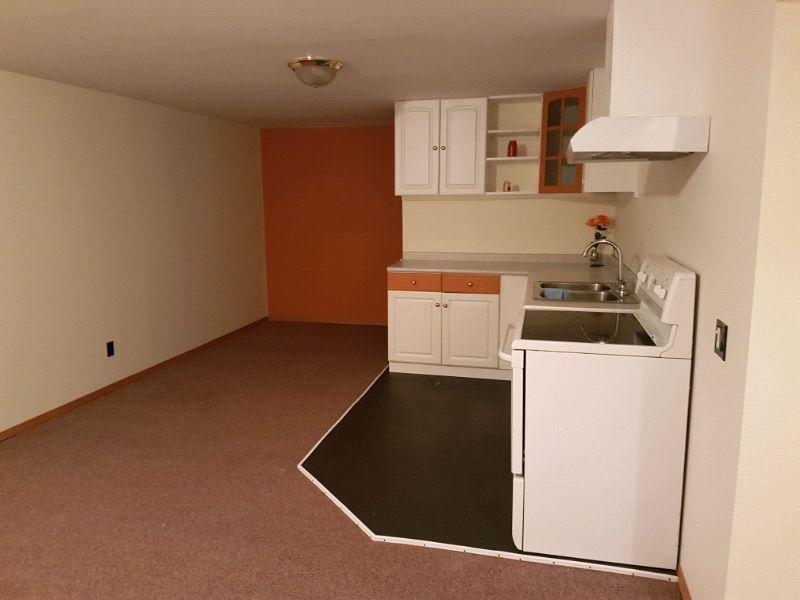 2 bedrooms clean and beautiful basement for rent