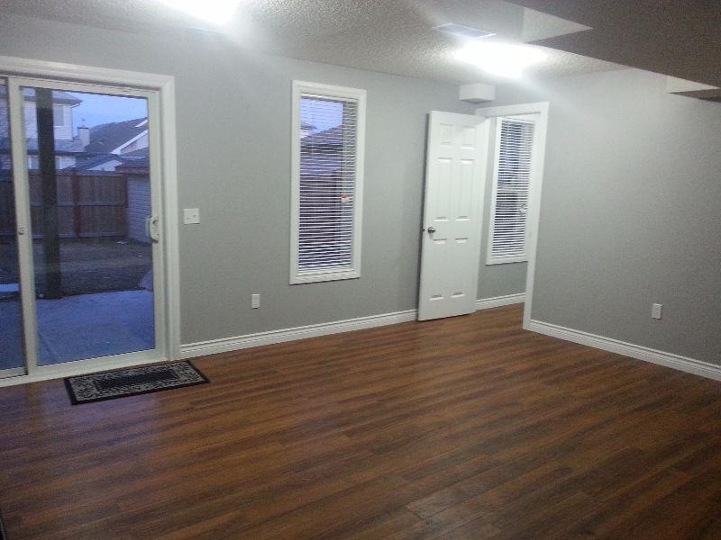 Bright east facing walkout basement for rent in Coventry Hills