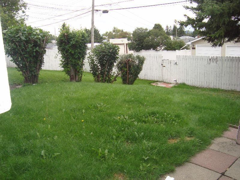 INNER CITY, MASSIVE FENCED YARD, PETS ALLOWED!