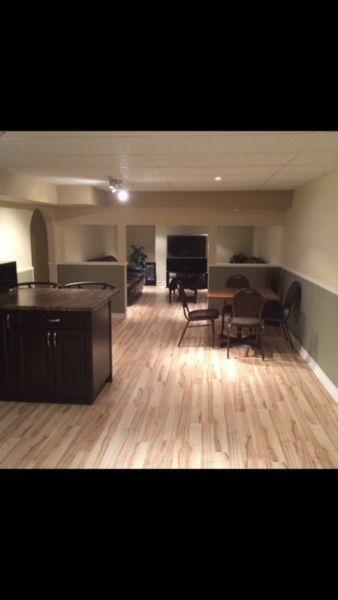 2 Bedroom Fully Furnished Basement Suite- Dickinsfield