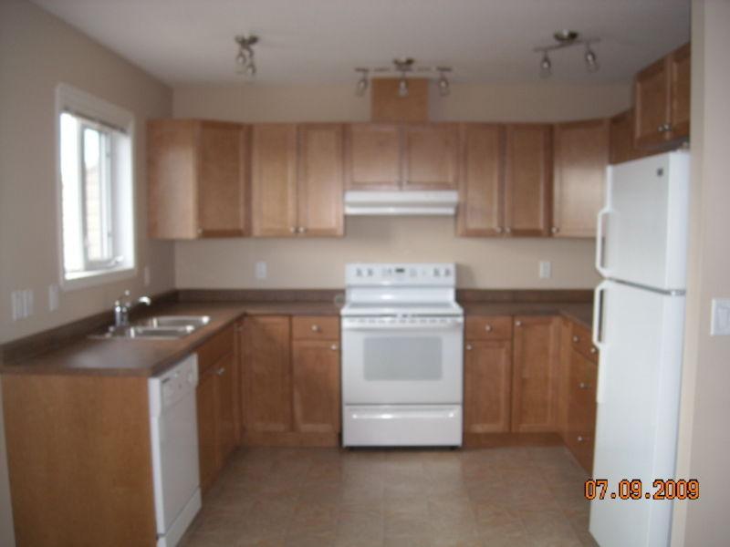 #121, 9105-91 Street New Cabinets, Flooring and Paint