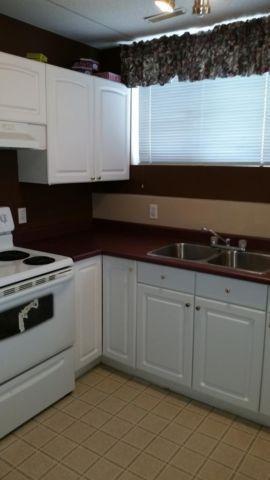 9209-94A Ave - beautiful Lower suite-$99-DD