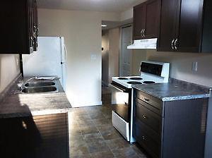 Fantastic suite in Fairview! 3 Bedroom ONLY $850 per month!!