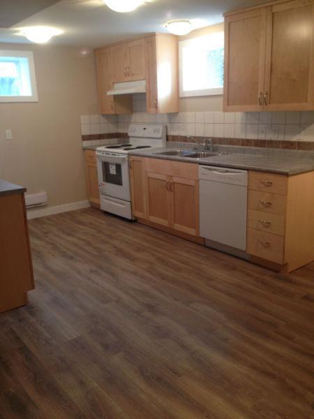 Lower Level of the House (Call Tanya 403-350-1026)