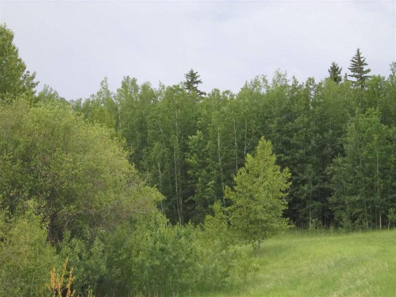 ARE YOU LOOKING FOR PARKLAND COUNTY LAND TO BUILD HOME ON?