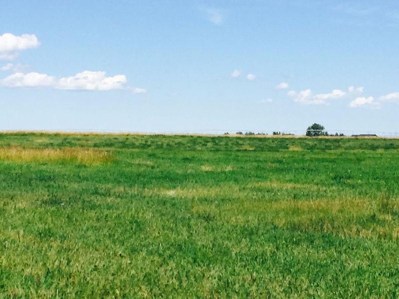 Irrigated Hay Land For Sale