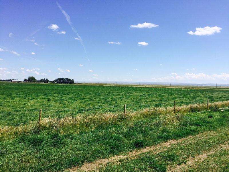Irrigated Hay Land For Sale