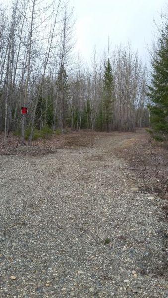 40 acres in  BC REDUCED IN PRICE!!!!!!!