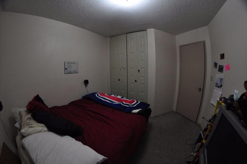 Room across safeway available