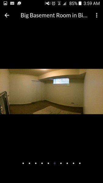 Quality basement room for male renter