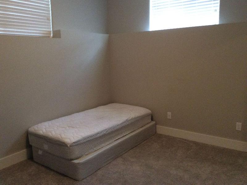 New basement suite for rent