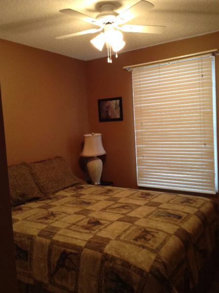 Clean quite room for rent in a great location - West