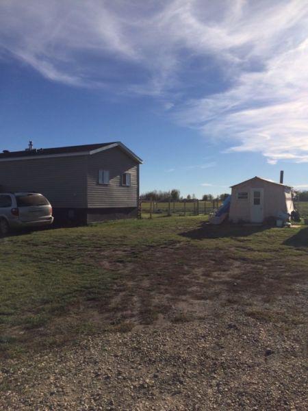 Looking for female roomate