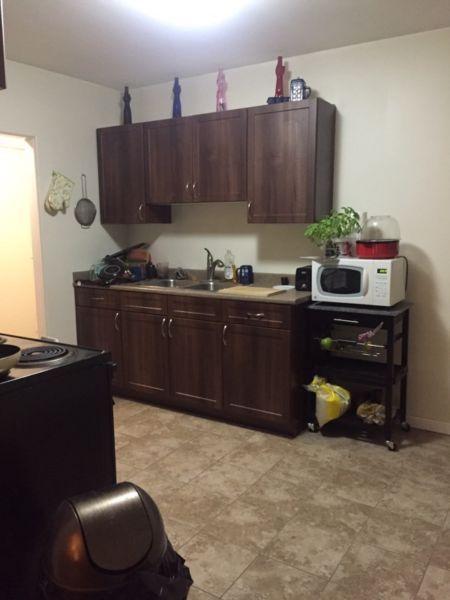 LOOKING FOR VEGETARIAN ROOMMATE