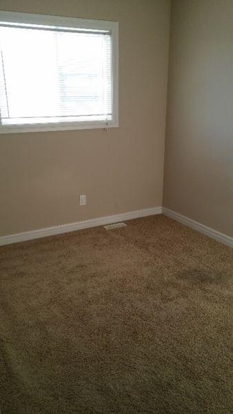 sprucegrove room available for rent in sept