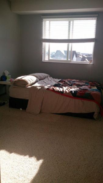 looking for a roommate 550