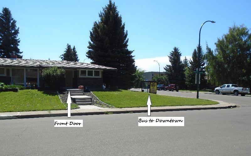 1 Bedroom in Shared House