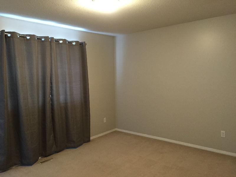 Master suite for rent