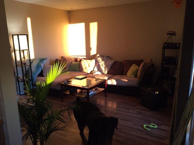 West Side - ROOMMATE NEEDED ASAP