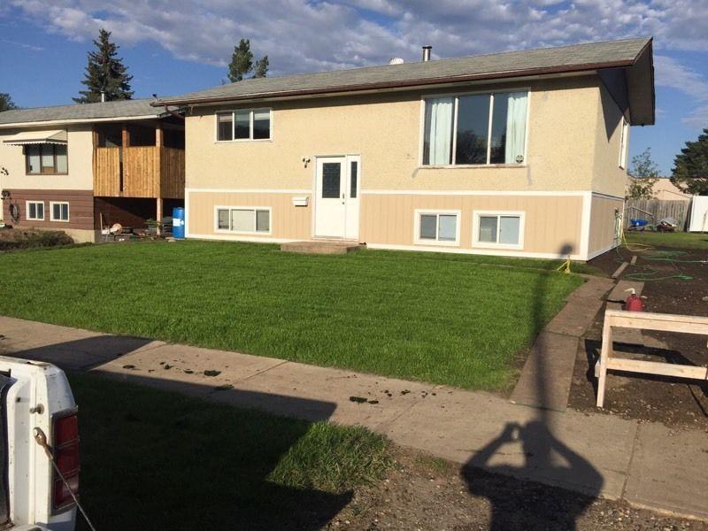 Large room for rent nov 1 2016