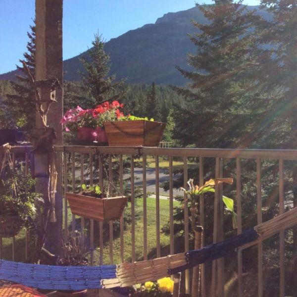 Weekly Room for Rent in Canmore for Solo Female Travelers