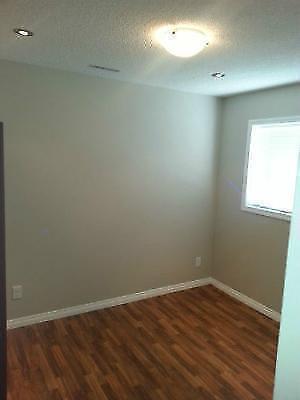 BASEMENT FOR RENT IN SADDLERIDGE VERY CLOSE TO C-TRAIN STATION