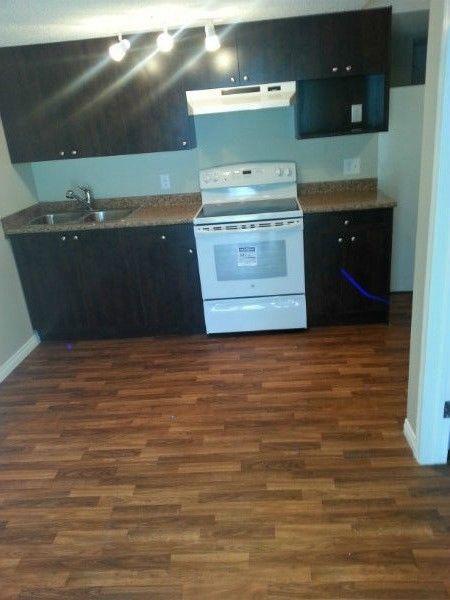 BASEMENT FOR RENT IN SADDLERIDGE VERY CLOSE TO C-TRAIN STATION
