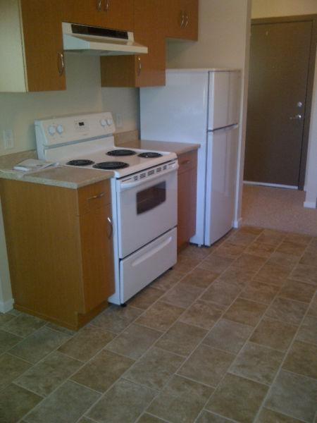 1 BEDROOM FULLY RENOVATED AND UPGRADED/SAHALI